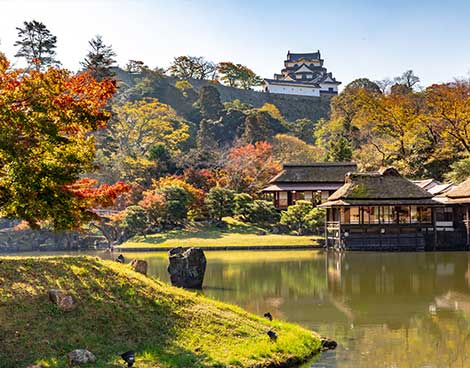 滋賀選ばれる理由